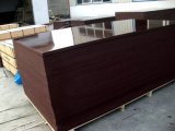 Brown Film Faced Plywood 18mm (HY007)