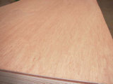 Bintangor Plywood for Furniture