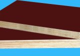 Hardwood Film Faced Plywood