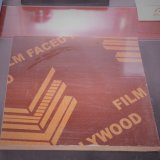 film Faced Plywood for Construction /Outside with Poplar Core