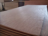 Bintangor Plywood