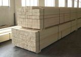 Poplar LVL (LAMINATED VENEER LUMBER)