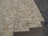 OSB Board (B) -2/3/4 (FULL POPLAR)