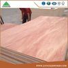 Poplar Core Bintangor Commercial Plywood for Furniture Decorative