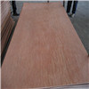 2.5mm Bintangor Packing Plywood