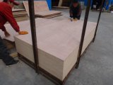 Commercial Plywood, Bintangor Plywood, Poplar Plywood, Okoume, Mahogany