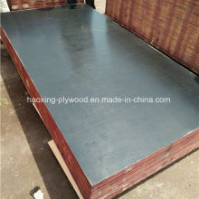 Hot Sale Black Film Faced Plywood for Construction