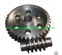 Auto Parts Transmission Worm Gear for Sale