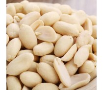 2021 New Crop Blanched Peanut with Best Quality