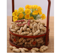 2021 New Crop Peanut in Shell with Best Quality