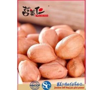 Baisha Round Shape Red Peanut New Crop 2021