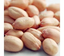 Ex-Factory Price Ground Nut Red Skin Peanut